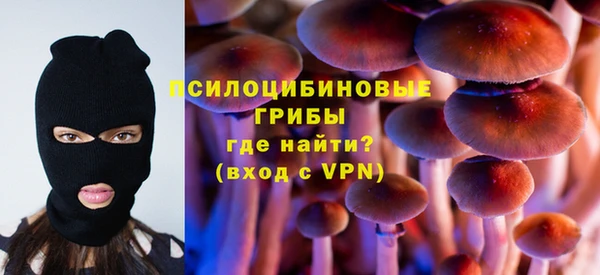 не бодяженный Бородино