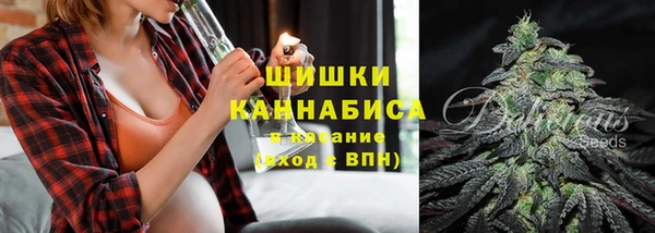 не бодяженный Бородино