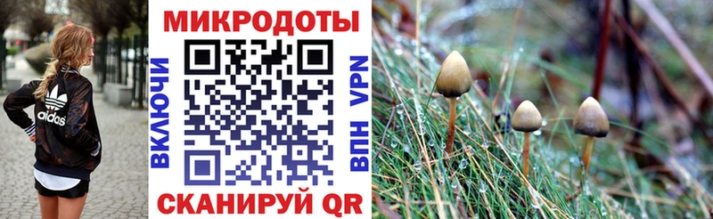 mega как зайти  где купить наркотик  Нижнекамск  Галлюциногенные грибы мухоморы 